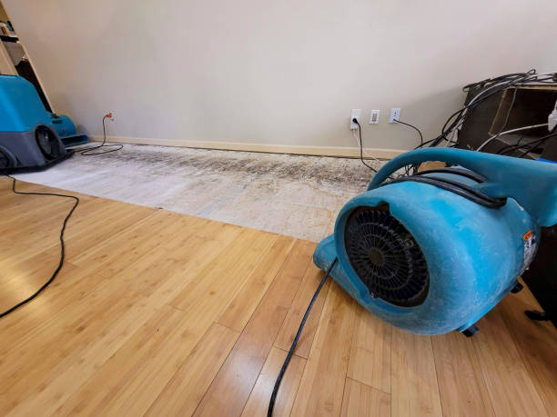 Professional Flood Damage Cleanup technician working in Miami, FL